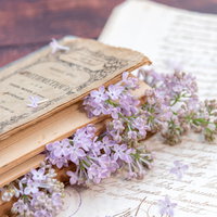 洋書と手紙に寄り添うライラックの花束と春の静物の写真