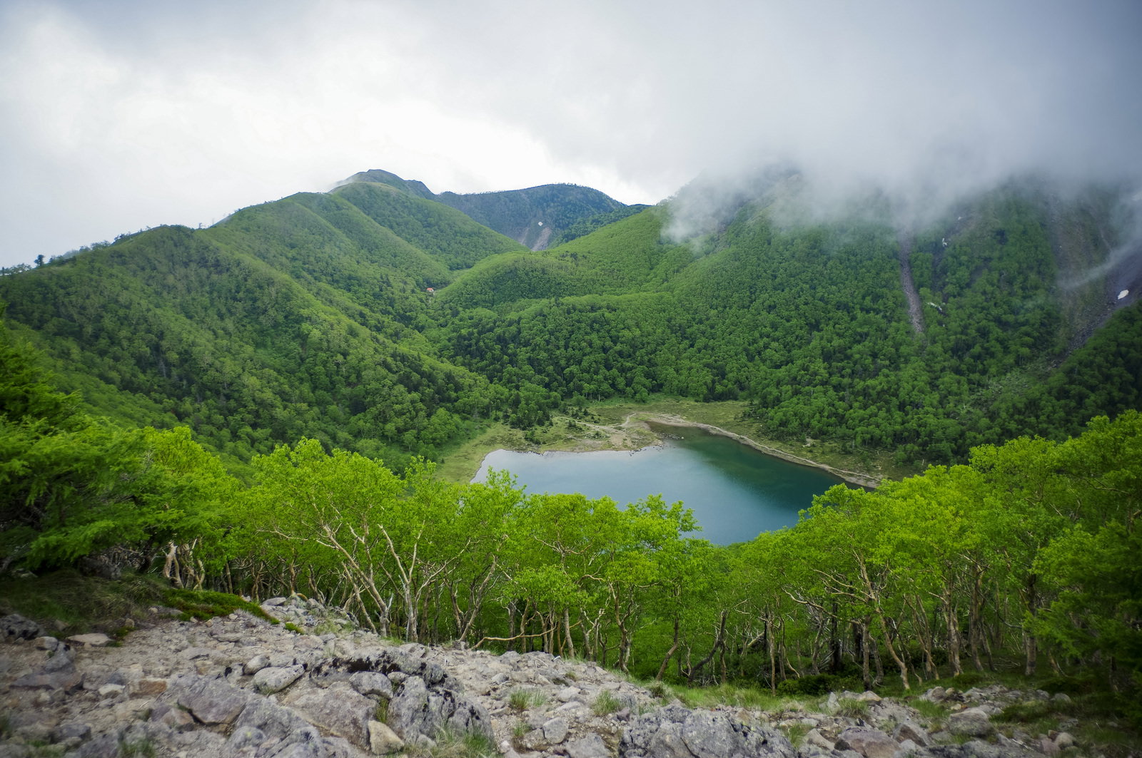 新緑の森林に囲まれた五色沼と日光白根山の山々が写る自然風景