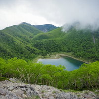 新緑に覆われた五色沼方面の景色と日光白根山の写真