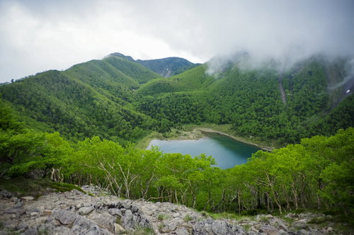 新緑に覆われた五色沼方面の景色と日光白根山