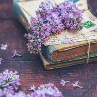 古い洋書の上に置いたライラックの花束と花びらの写真