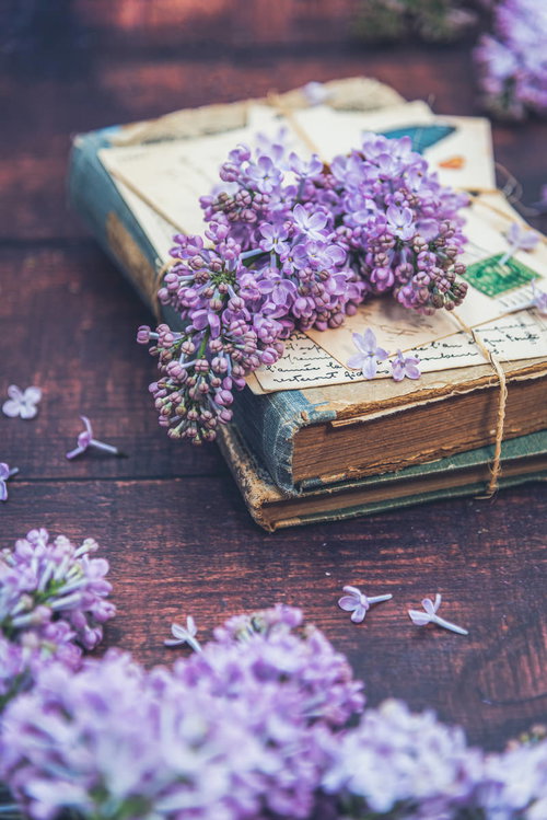古い洋書の上に置いたライラックの花束と花びら