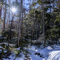 新雪に覆われた日光白根山の登山道の写真