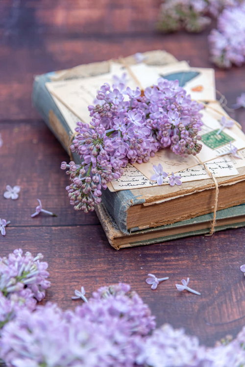 届けられた洋書とライラックの生花、手紙とエアメール