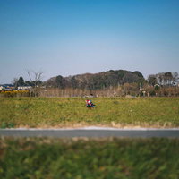 河川敷の土手でくつろぐチャリダーと自転車の写真