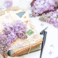 紐で束ねた古本とライラックの生花、散った花びらの写真