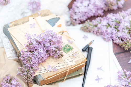 紐で束ねた古本とライラックの生花、散った花びら