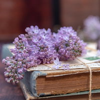 麻紐で縛った古書に添えたライラックの生花の写真
