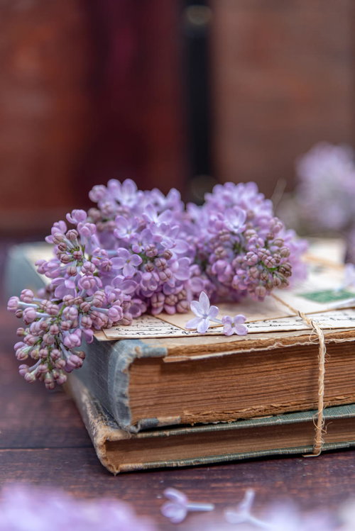 麻紐で縛った古書に添えたライラックの生花