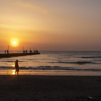 千葉県・日暮れの原岡桟橋で夕日に照らされるシルエットの写真