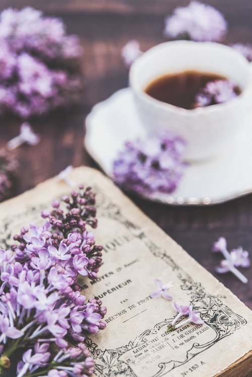 古い洋書に添えた紫色のライラックと珈琲のある読書風景