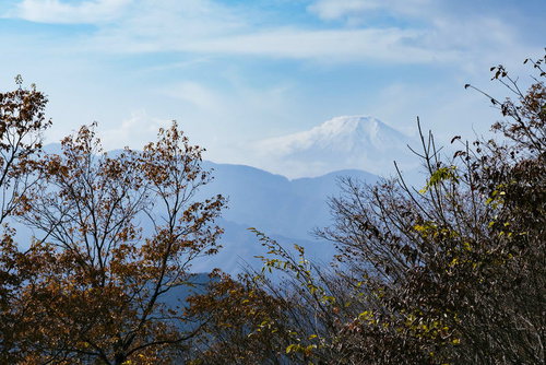 秀麗富岳倉岳山から眺める富士山と青空の絶景