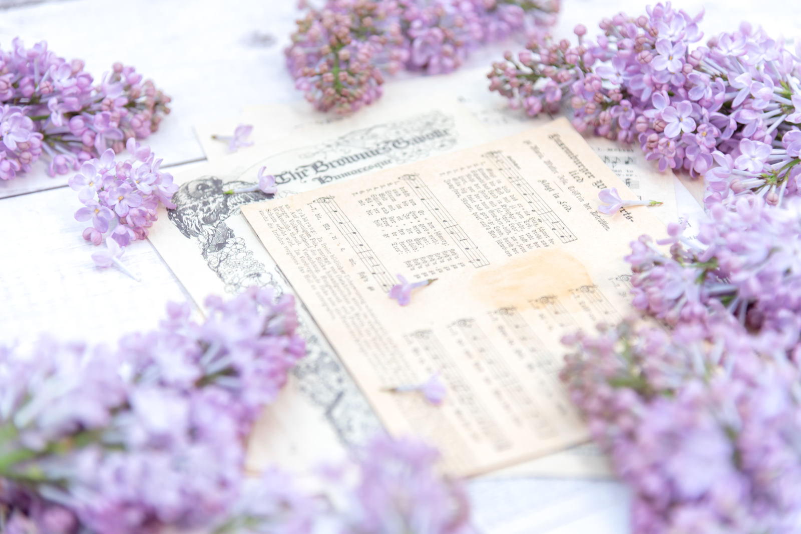楽譜の周りに淡い紫色のライラックの花が配置された写真