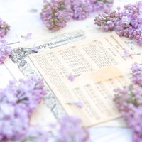 淡い紫色のライラックが彩る楽譜と春の花のの写真