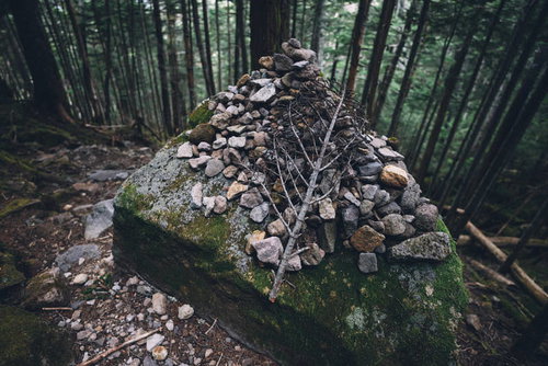 竹林の中に積み上げられたケルン