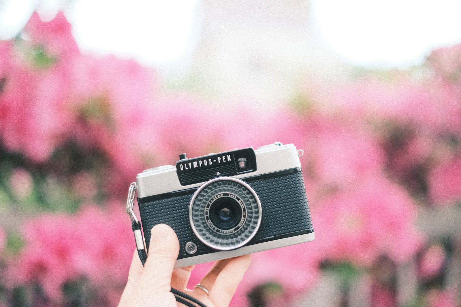 桜の花をバックにOLYMPUS-PENのミラーレスカメラを手に持つ