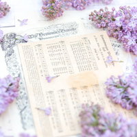 楽譜の上に置かれたライラックの花と音楽。春の音楽イベントの写真