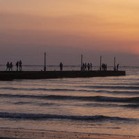 千葉県南房総市・夕暮れの原岡桟橋・夕日が映える木製桟橋の写真