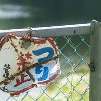 釣り禁止の警告が書かれた劣化した金属フェンス取付け看板の写真
