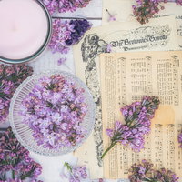 楽譜を取り囲む紫色のライラックとキャンドルの静物の写真