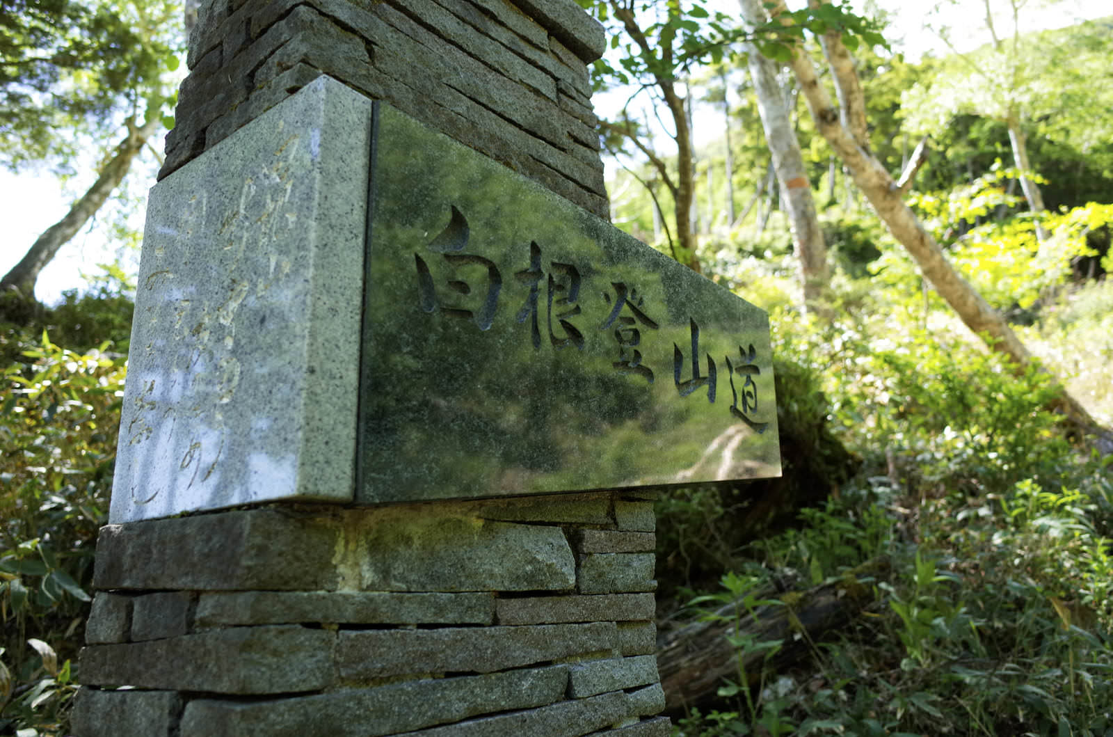 緑に囲まれた日光白根山湯元温泉コース入り口の案内看板