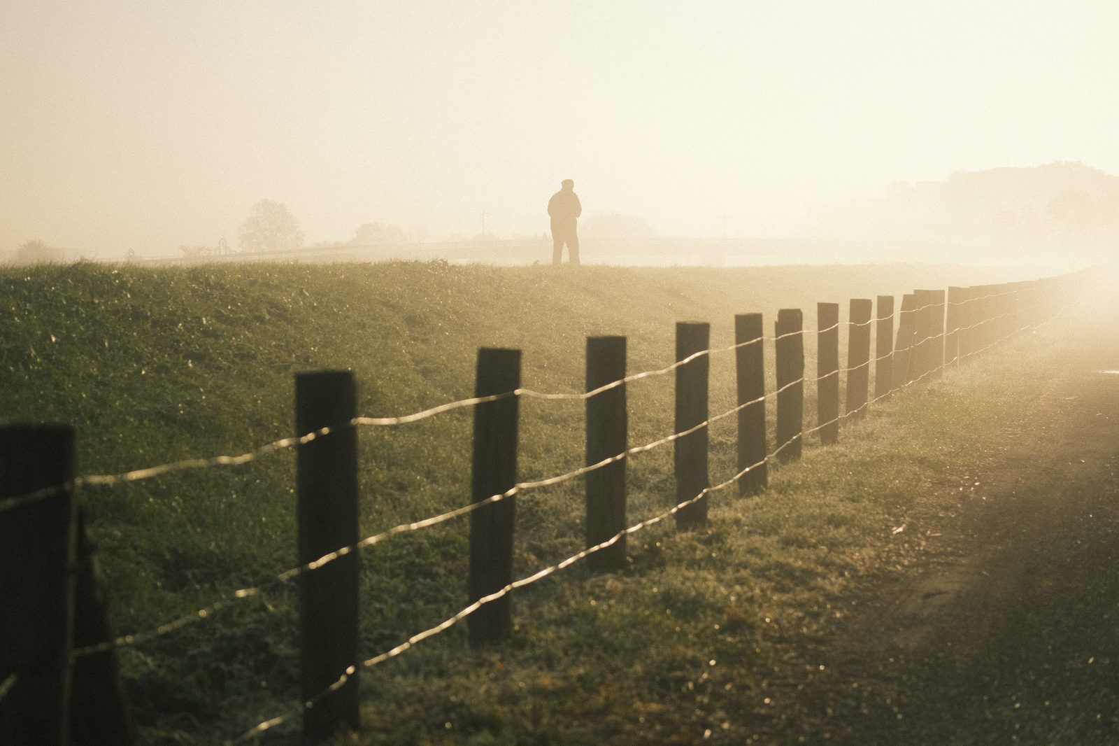 霧の朝、土手の上に立つ人のシルエット