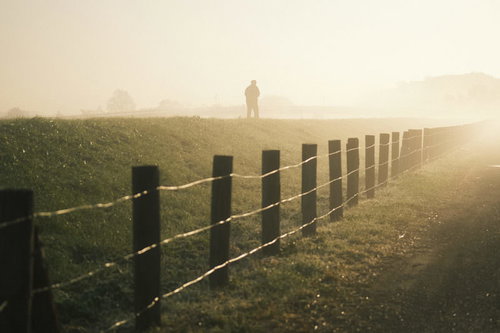 濃霧に包まれた朝の土手を散歩する人のシルエット