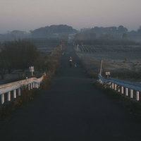 霧の朝に犬と散歩する人物と農村の一本道の写真