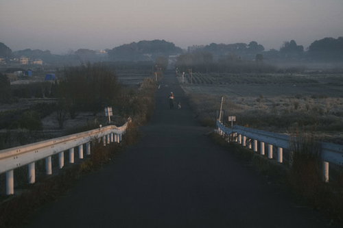 霧の朝に犬と散歩する人物と農村の一本道