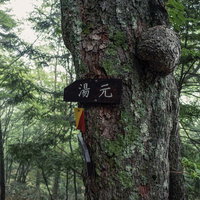 日光白根山の湯元温泉へいざなう指導標と森林風景の写真