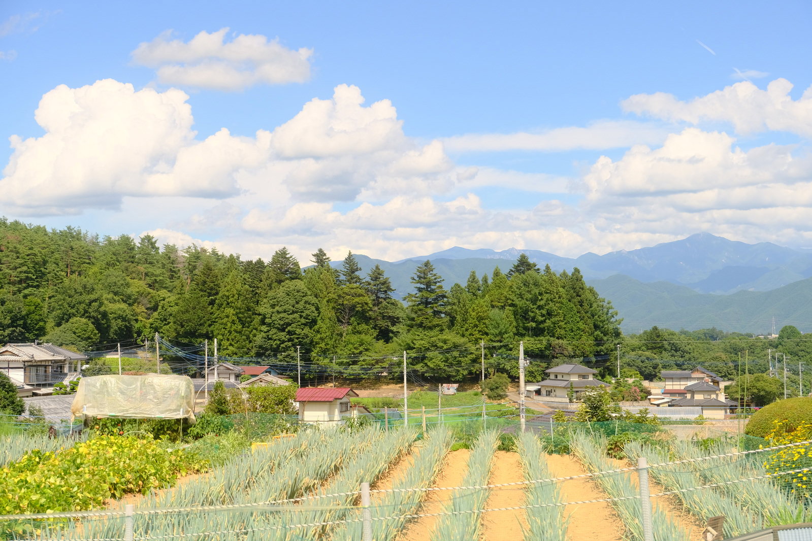 青空の下に広がる山間部の畑と農家の建物、背景に山々が見える田舎の風景