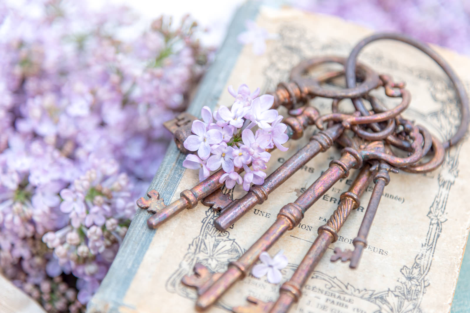 開かれた洋書の上に置かれた淡い紫色のライラックの花束と古い鍵