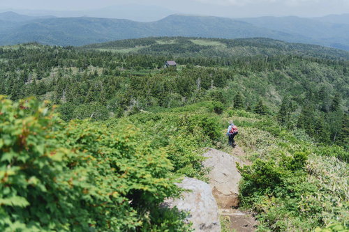 緑豊かな山稜線のトレッキング風景