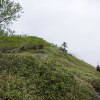 日本百名山・日光白根山の白根山五色岳方面への登山道の写真