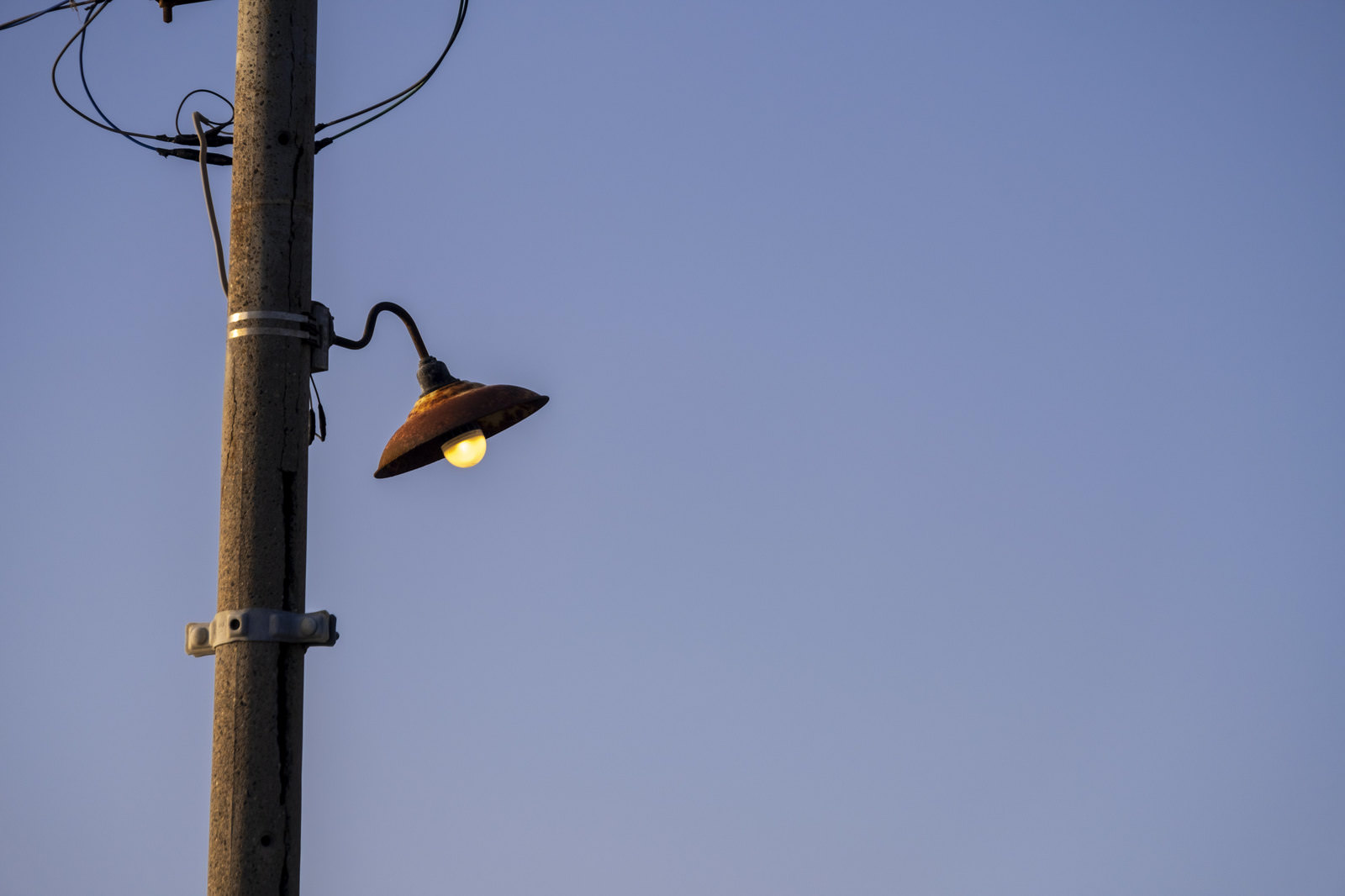 青空を背景に電柱の外灯に止まる黒いカラス