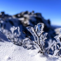 透き通った氷が実る日本百名山・日光白根山の山頂の写真