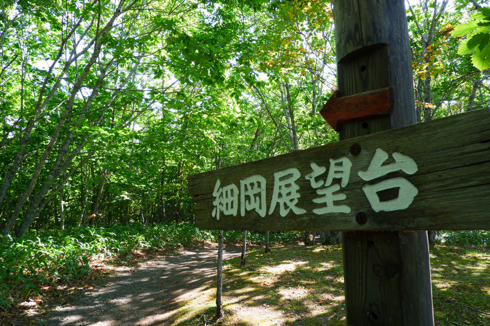 森の中に設置された釧路湿原国立公園・細岡展望台への木製指導標