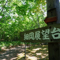 釧路湿原国立公園・細岡展望台への木製指導標の写真