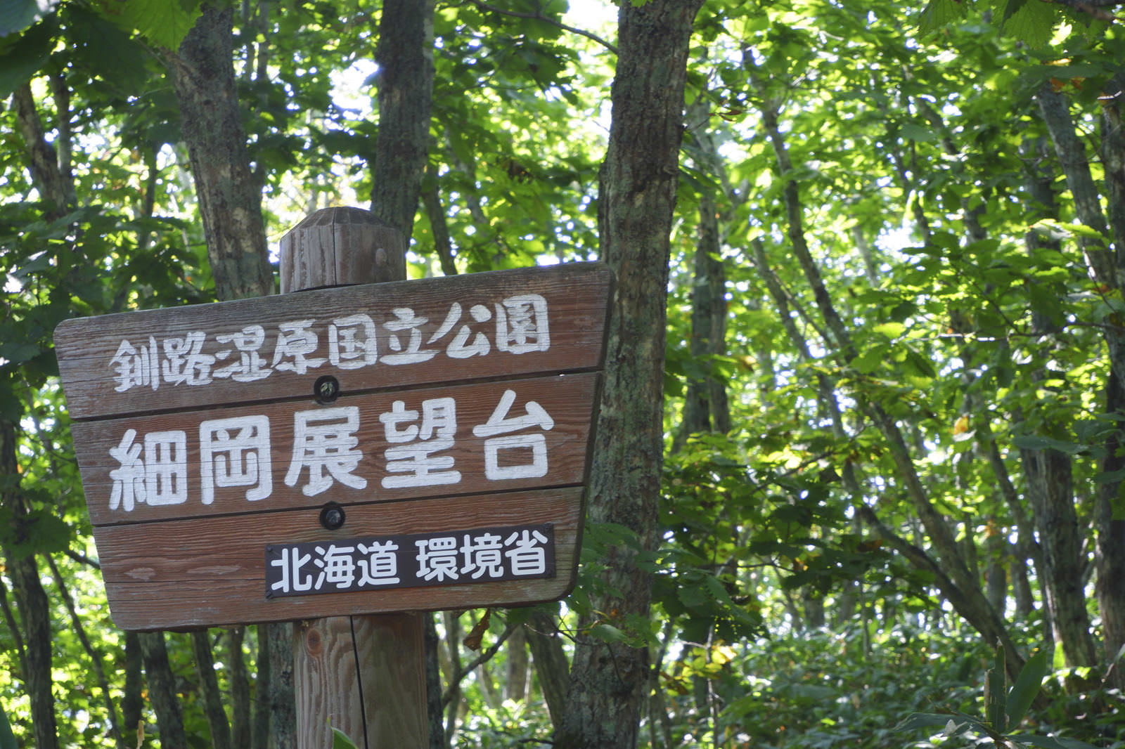 森の中に設置された釧路湿原国立公園細岡展望台の茶色い木製案内看板