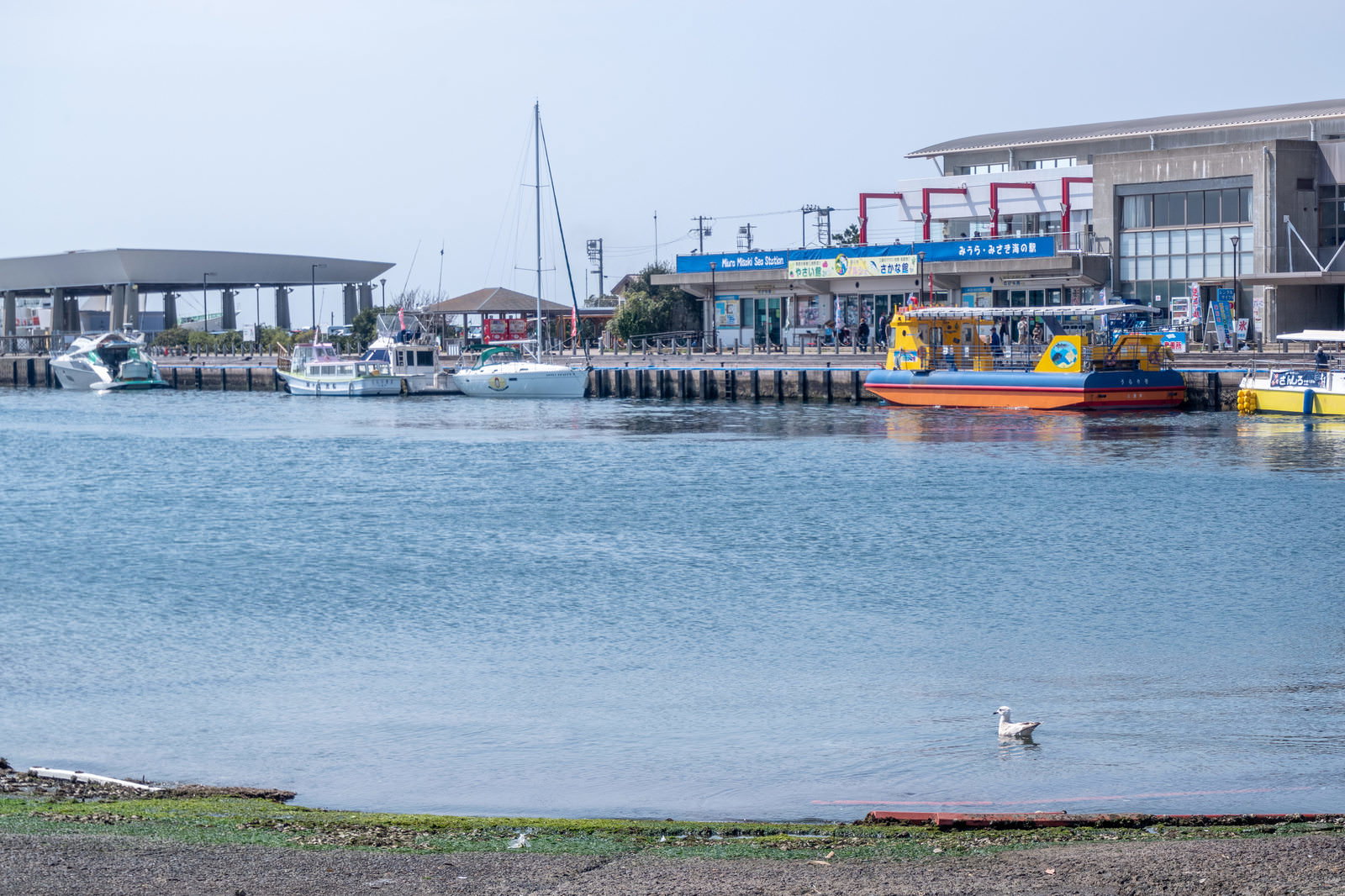 The Urari ship moored at the port of Miura-misaki Station