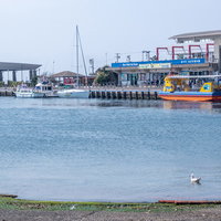 神奈川県三浦半島みうらみさき海の駅に停泊中のうらり号の写真