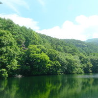 森の中にある湖面に映る樹林と青空、山々の風景の写真