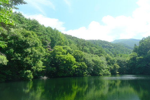 森の中にある湖面に映る樹林と青空、山々の風景