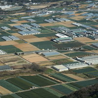 俯瞰した田園風景とビニールハウスの写真