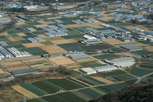 俯瞰した田園風景とビニールハウス