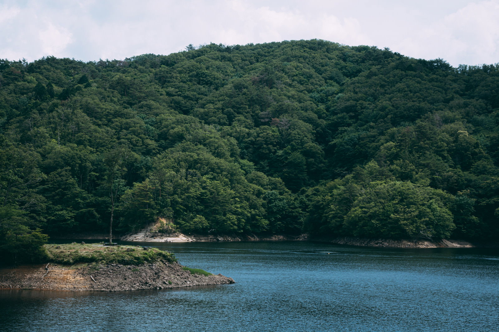 緑の森林に囲まれた静かなダム湖の風景、湖畔に建物