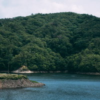 ダム湖と湖畔を彩る木々（羽生ダム）の写真