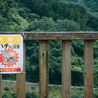 柵に取り付けられたハチに注意の看板の写真