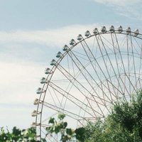 木陰の葉越しに見る白いゴンドラと青空の観覧車の写真