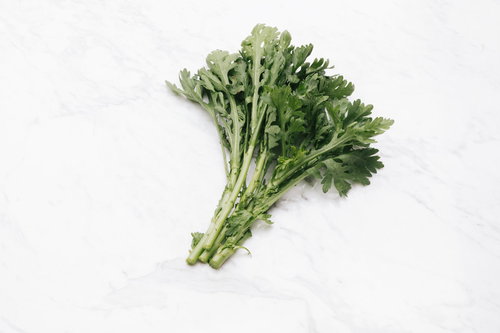 白いテーブルに置いた春菊の束の